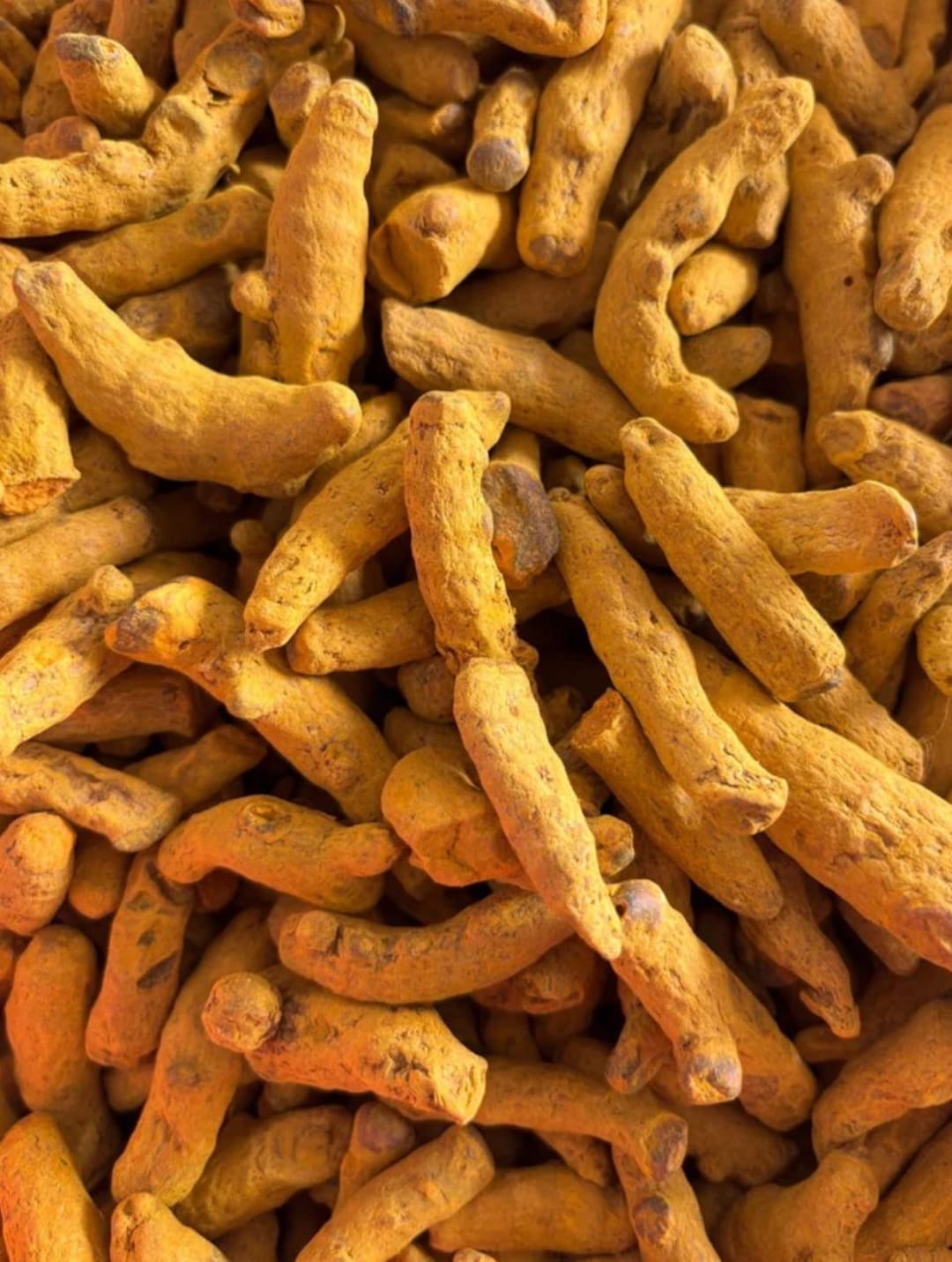 Turmeric Finger